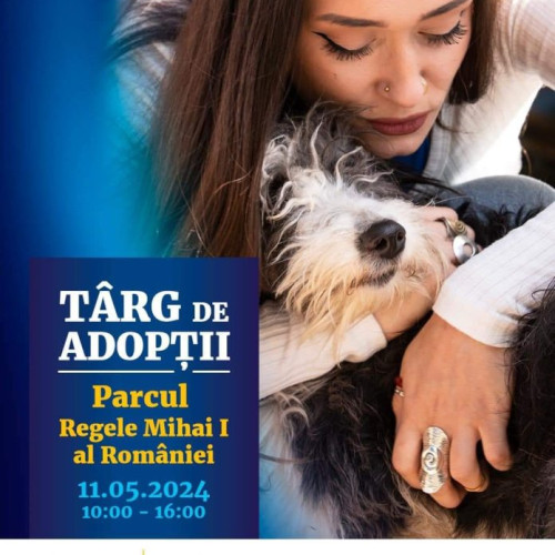 Un nou târg de adopții pentru câini în Parcul Regele Mihai I