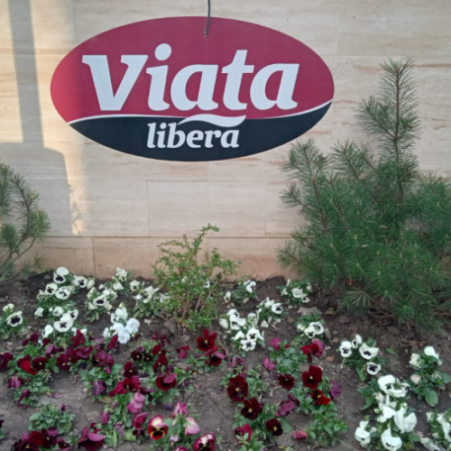 Primele primite de angajații "Viața liberă" de Paște - 08 mai 2024