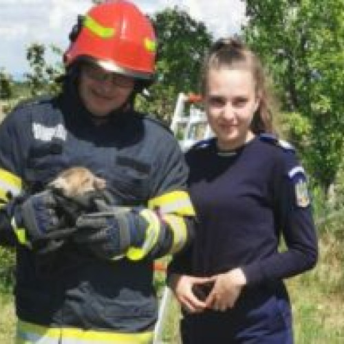Pompierii din Brașov au salvat un pui de vulpe căzut într-un canal