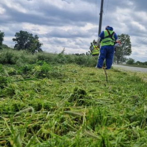 Acțiuni pentru combaterea și distrugerea ambroziei în Ilfov prin cosire, anunță Consiliul Județean, în comunicat de presă. Programul de astăzi, 8 mai 2024: 📍 DJ 602D Ciorogârla – A1 📍 DJ 401A Bragadiru – Măgurele.