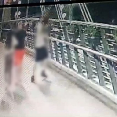 Jardiniere furate și deteriorate pe pasarela Mureșului; autorul identificat de poliția locală să fie sancționat de Inspectoratul de Poliție al Județului Arad