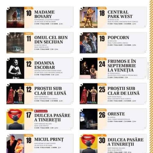 Spectacolele Teatrului Tony Bulandra pentru luna mai 2024 aduc noi reprize ale celebrului "Dulcea pasăre a tinereții", după Tennessee Williams, în spectaculoasa regie a Alinei Hiristea. Rezervă-ți acum locurile prin Telefon, WhatsApp sau E-mail!