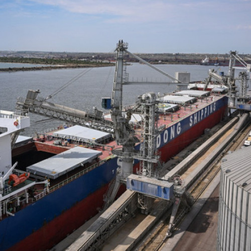 Razie în Portul Constanţa pentru arestarea unor infractori. Poliţiştii desfăşoară o acțiune de ordine publică în port, pentru degajarea drumurilor și decongestionarea traficului.