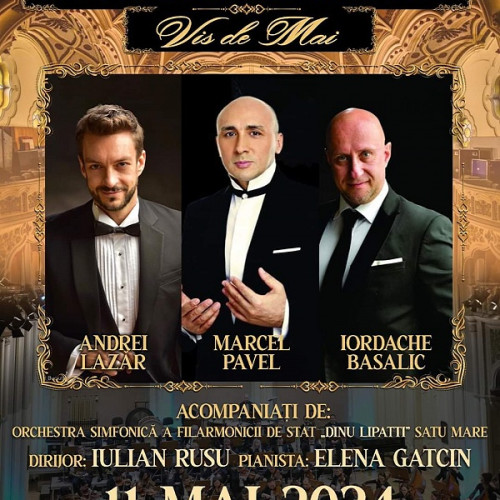 Concert extraordinar cu Andrei Pavel, Andrei Lazăr și Iordache Basalic la Ardud
