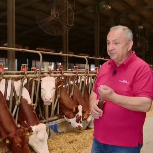 Revoluția verde, încetinită de proteste. Care sunt motivele de revoltă ale fermierilor împotriva autorităţilor europene