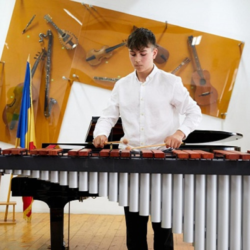 Rotaract Club Satu Mare face o donatie de exceptie pentru tinerii talentati de la Liceul de Arte "Aurel Popp".