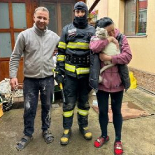 Pompierii din Brașov au salvat o pisică blocată în două ziduri
