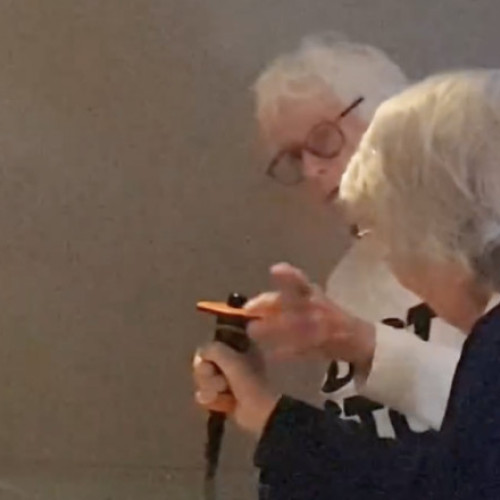 Două Octogenare de la Just Stop Oil Deteriorează Copia Magna Carta la British Library din Londra