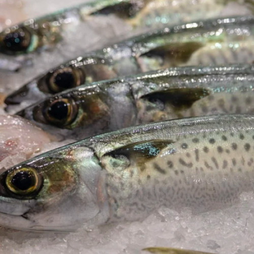 Autoritatea Naţională pentru Protecţia Consumatorilor (ANPC) amendează comercianţii de peşte: peste 1 milion lei sanctiuni pentru nereguli