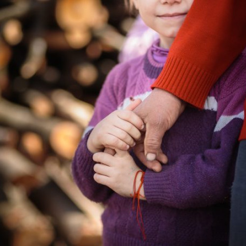 Ministerul Familiei promovează un proiect de stimulare a natalității prin transparență decizională