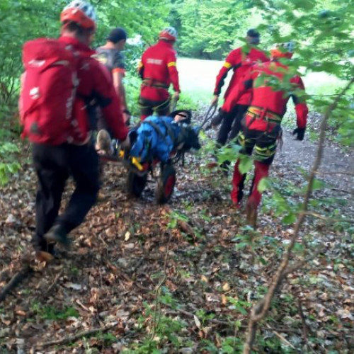 Accidente tragice în zona Poiana cu Narcise din Munţii Rodnei