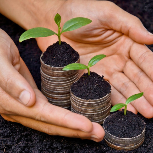 Fermierii din România vor primi ajutoare de la stat în valoare de 100 de euro/hectar pentru culturile vegetale și 100 de euro pentru sectoarele suin și avicol pentru a face față crizei din Ucraina. Ministerul Agriculturii și Dezvoltării Rurale (MADR) a anunțat că plățile vor începe de la data de 15 mai, conform promisiunilor. În cazul în care fondurile nu sunt suficiente, MADR va suplimenta bugetul pentru a asigura suma de 100 de euro pentru toți fermierii eligibili. Aceste decizii au fost luate în urma discuțiilor dintre ministrul Agriculturii, Florin Barbu, și echipa de conducere a MADR și a Agenției de