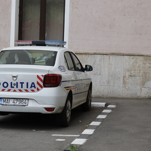 Reținuți în parc doi bărbați care au agresat un hoț de buzunare celebru din Capitală