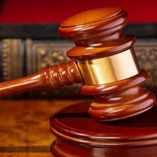 Judecătoare pensionară se implică în politică alături de controversatul om de afaceri Dan Voiculescu, schimbând mai multe partide într-un timp scurt. Un alt fost vicepreședinte al Asociației Magistraților se alătură lumii politice, având o pensie specială și fiind membru al Masoneriei.