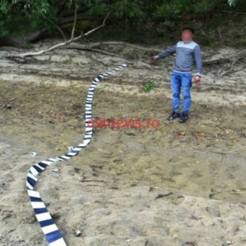 Un cetățean din R. Moldova încercând să ajungă în București, oprit de autorităţile de frontieră