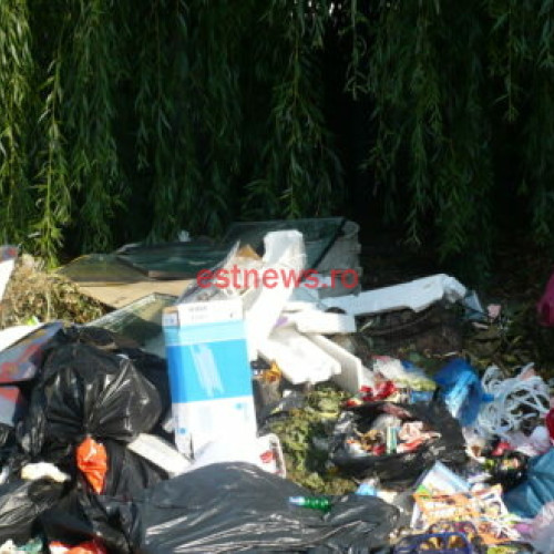 Gradul de încasare a taxelor de salubrizare în mediul urban și rural din județul Vaslui: progrese înregistrate în implementarea proiectului de gestionare a deșeurilor solide