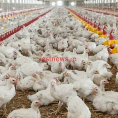 Bani europeni pentru fermieri prin programe de finanțare la Direcția Agriculturii Județene Vaslui