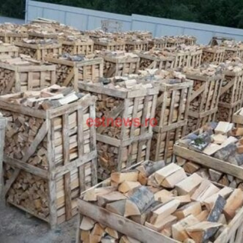 Sancțiuni pentru firmele din comerț și producția încălcând legislația muncii în județul Vaslui