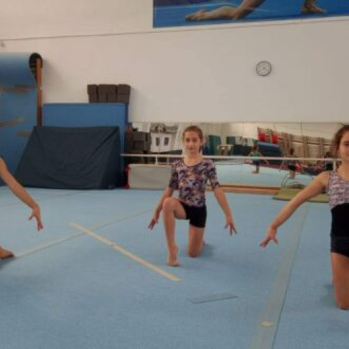 Clubul Sportiv Școlar (CSS) Bârlad are două gimnaste de aur la compus individual.