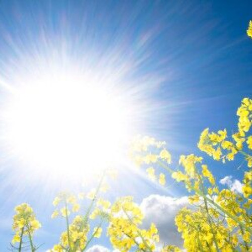 Săptămâna viitoare aduce temperaturi ridicate, după zile reci de primăvară