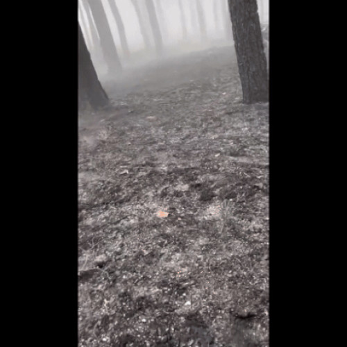 Militari ucraineni surprinși într-un atac rusesc la Harkov. Imagini dure de pe frontul de luptă