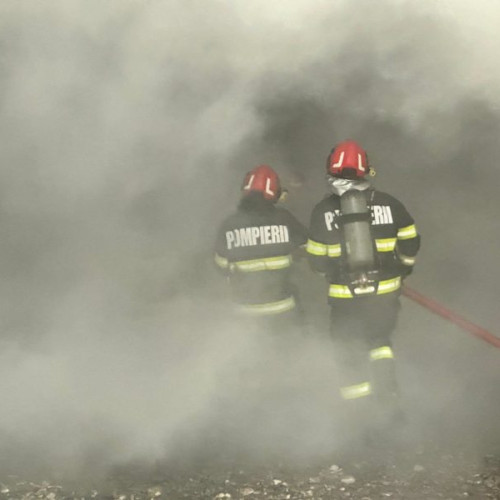 Despăgubire record plătită anul trecut de o companie din ţara noastră