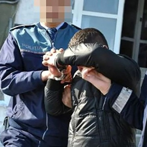 Un bărbat din Decebal a fost arestat pentru uciderea și abandonarea a două câini în câmp