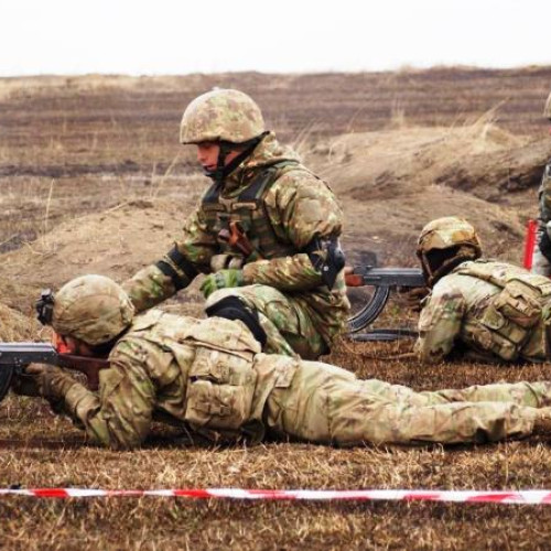 MApN: Peste 3.800 de Posturi Vacante pentru Soldați Profesioniști în 32 de Județe și București. Calendarul Procesului de Recrutare și Selecție