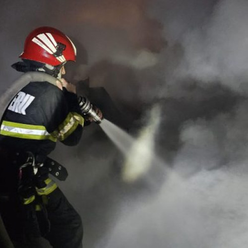 Locuință distrusă în Bordești după un incendiu devastator