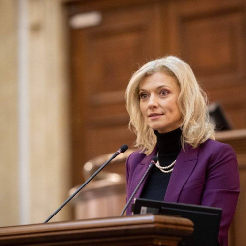 Parlamentul a adoptat legea privind cheltuielile de aducere a fugarilor in Romania