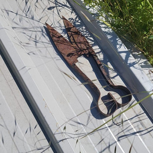 Bărbat din Ilfov, reținut pentru cruzime față de animale: A tăiat cozi și urechi de căței din Pantelimon. Poliția și procurorii au intervenit prompt.