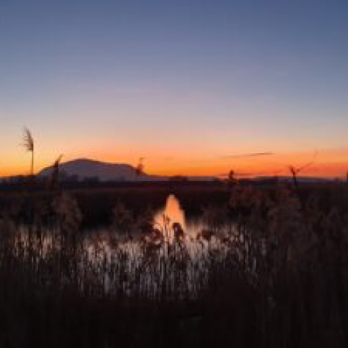 Tabăra din Delta Dunării din Sulina este deschisă pentru toți doritorii anul acesta