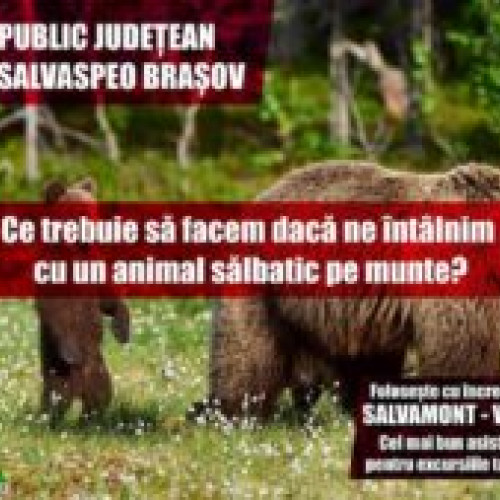 Sfaturi de salvare în cazul întâlnirii cu un animal sălbatic în munți