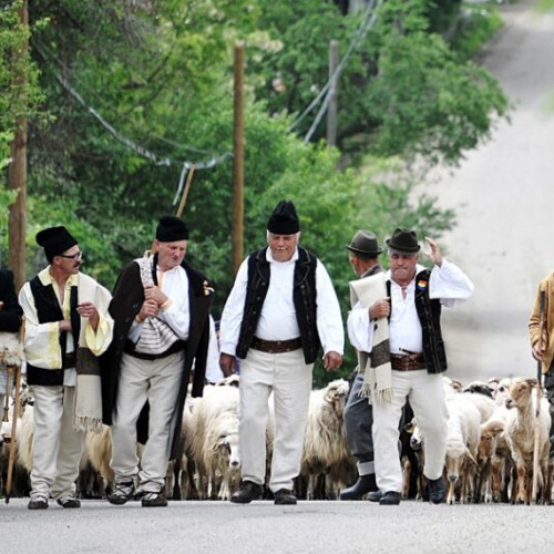 Negrilești găzduiește sărbătoarea tradițională Botezul ovinelor în parteneriat cu Consiliul Județean Vrancea