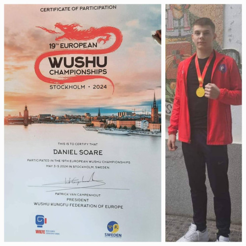 Elev din Liceul de Arte din Târgoviște, medaliat la Campionatele Europene de Wushu