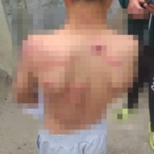 Un copil de 10 ani, maltratat cu biciul după ce a speriat un cal