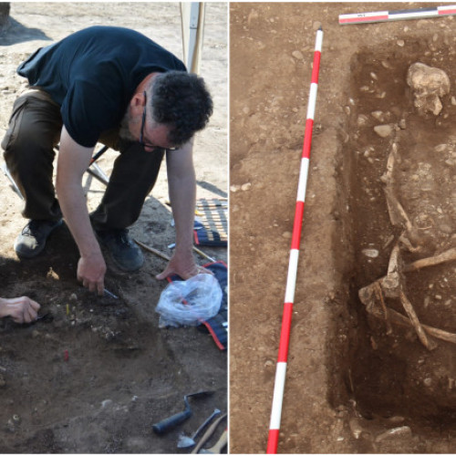 Galerie Foto Patru morminte din Epoca Bronzului, descoperite pe un câmp din Prahova. Zona era recunoscută drept un adevărat "câmp al morților"