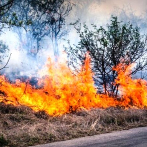 INCENDIU de vegetație la Dumbrăveni: Un BĂTRÂN a decedat, două persoane rănite la Dragosloveni