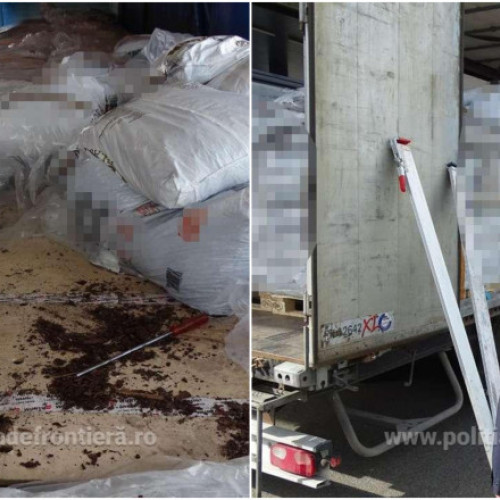 Video&Foto Zeci de migranți din Siria, prinși la intrarea în România ascunși printre saci cu pământ de flori