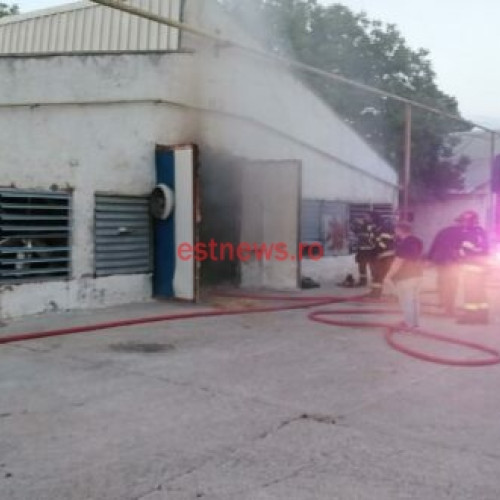 Incendiu de proporții la o hală de creștere a păsărilor din Roșiești: Pompierii militari intervin cu succes