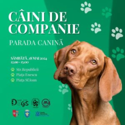 Parada câinilor de companie, în weekend la Brașov: o invitație de a celebra drăgălășenia și devotamentul prietenilor nopștri patrupezi