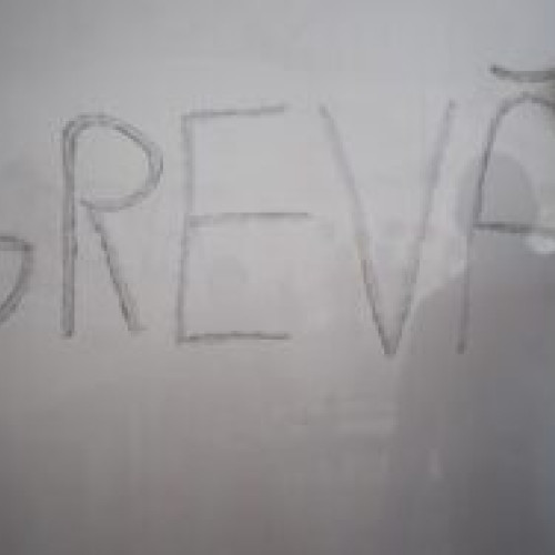 Angajații din aparatul guvernamental cer majorarea salariilor printr-o grevă japoneză