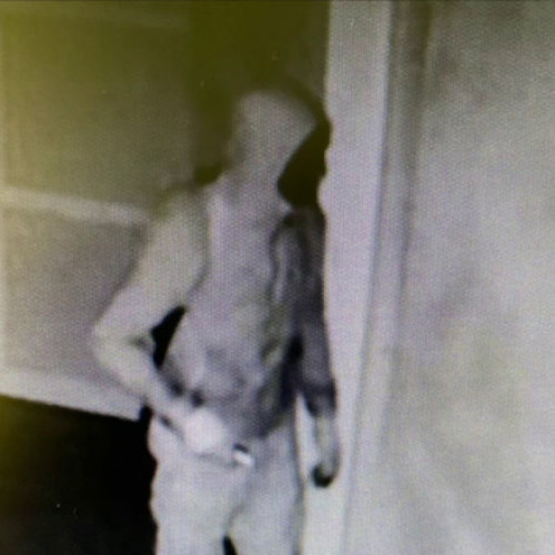 Capturarea infractorilor ce au jefuit o scoala in Caraș-Severin - au intrat cu forta si au furat bani pentru bursa elevilor; unul dintre ei a fost identificat ca lider