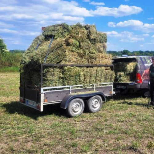 Voluntarii de la Asociația pentru Conservarea Diversității Biologice Focșani devin fermieri pentru a-și ajuta misiunea nobilă