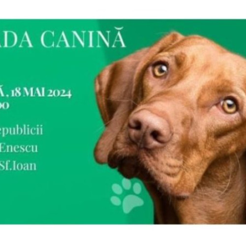 Parada Canină pentru Adopția de Câini: Un eveniment important pentru conștientizarea importanței adopției de câini în Brașov