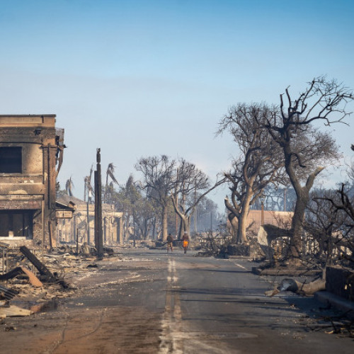 Dezastrul economic provocat de schimbările climatice este de șase ori mai grav decât se credea (studiu)