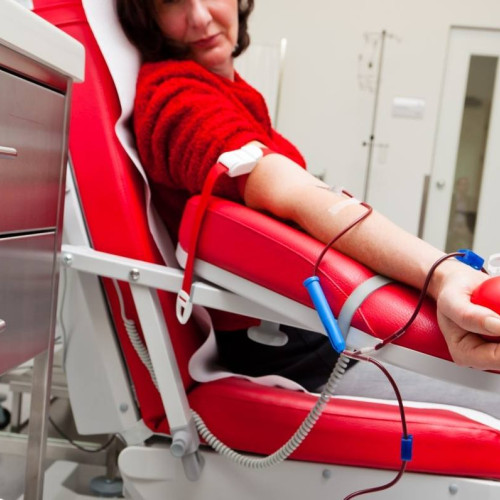 Gratuitate la Biletele la UNTOLD și Neversea pentru Donatorii de Sânge!