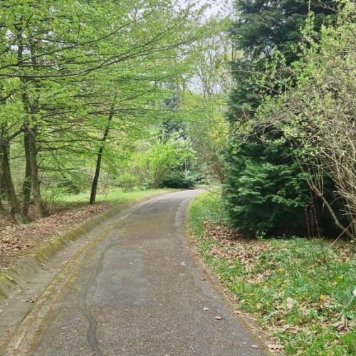 Prognoza meteo în Alba, 20-26 mai: Căldură, dar și ploi și furtuni în săptămână. Variații de temperatură și precipitații la munte. Vremea în județ până în 17 iunie