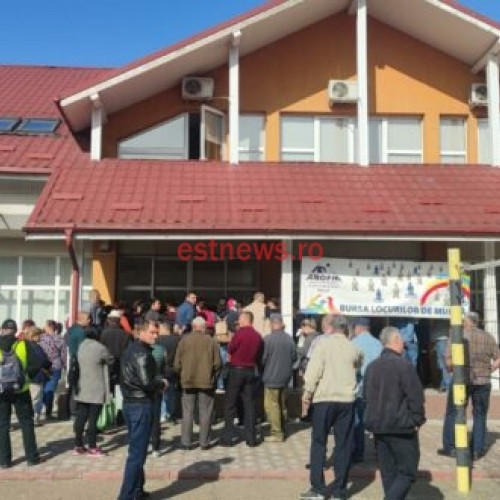 Bursa locurilor de muncă a avut un număr mare de participanți și de persoane selectate pentru angajare