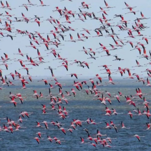 Creşterea nivelului mării amenință mai mult de o treime din zonele umede de pe țărmul Mării Mediterane (studiu)